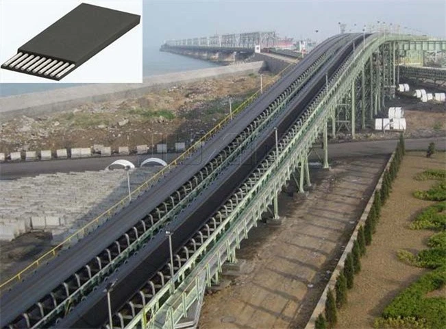 Cord Conveyor best